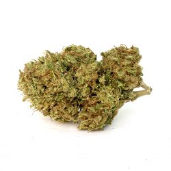 La Gorilla Glue CBD è un'infiorescenza light con basso contenuto di THC, molto apprezzata dagli appassionati di cannabis light.